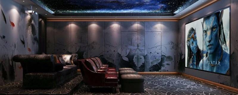 私人影院是干啥呢（私人影院是什么潜台词吗）