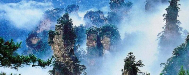 1982年12月国家第一个森林公园（1982年我国第一个森林国家公园）