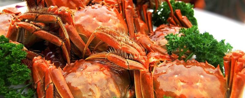 大闸蟹死了能做香辣蟹吗 大闸蟹死了能做香辣蟹吗视频