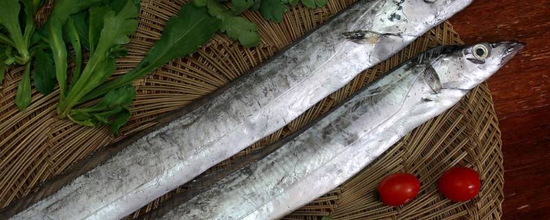 带鱼背上需要剪开洗吗（带鱼背部鱼刺如何去除）