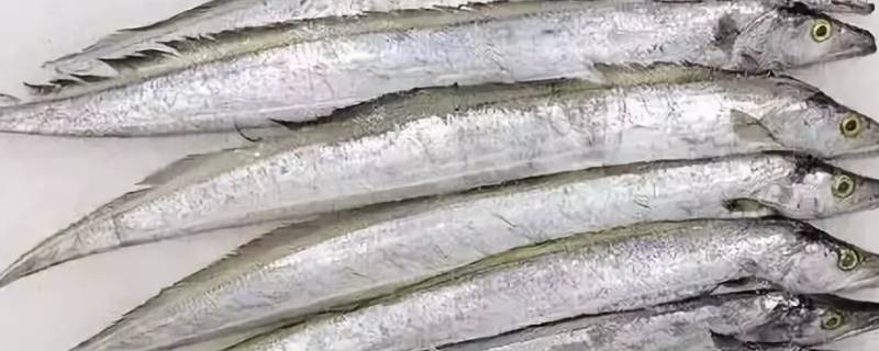 带鱼放冰箱可以放多久 带鱼放冰箱可以放多久吃