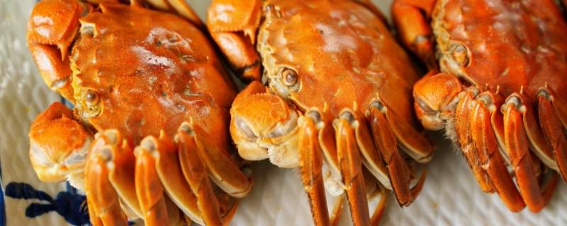 大闸蟹煮熟可以冷冻吗（大闸蟹煮熟可以冷冻吗能放多久）