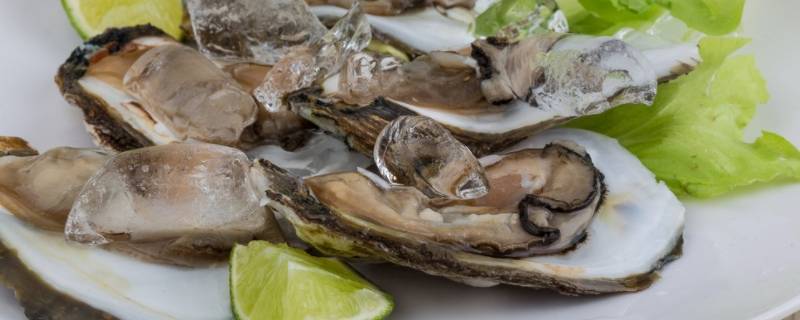 带壳生蚝水煮多久才熟 带壳生蚝煮多长时间