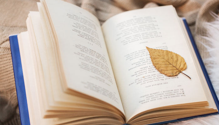 be在小说中是什么意思 be在小说中是什么