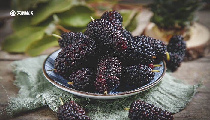 桑葚酒泡制多长时间为宜 桑葚泡多长时间就可以了