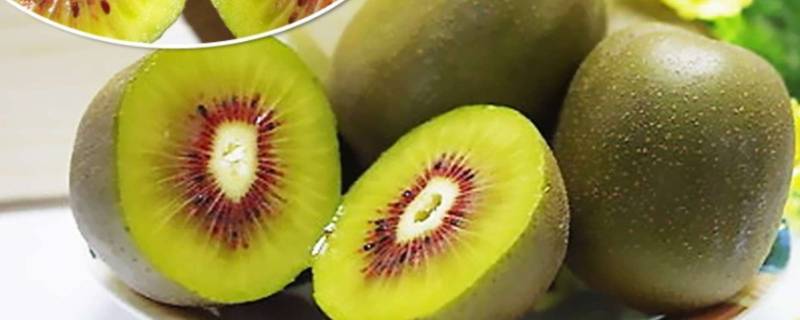 猕猴桃太熟酒味浓能吃吗 猕猴桃太熟了有点酒味能吃吗