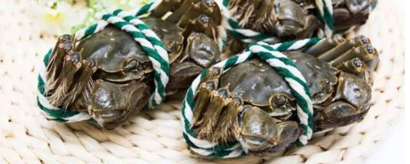 活的螃蟹可以冷冻吗 活的螃蟹可以冷冻吗怎么保存