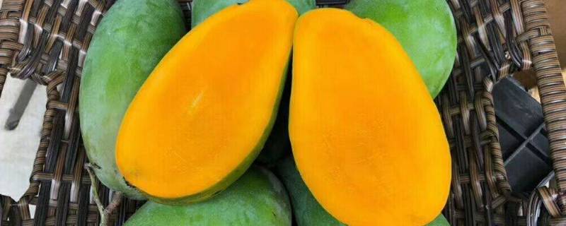 青芒硬的能直接吃吗 青芒硬的能直接吃吗怎么吃