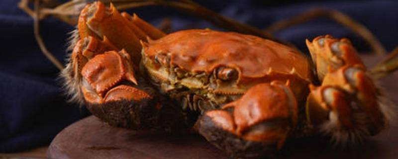 螃蟹冻了半年还可以吃吗 螃蟹冻了半年还可以吃吗视频