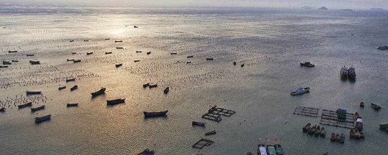 中国的舟山渔场建在什么流 中国的舟山渔场建在什么流显著的海域?