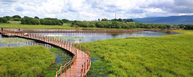 黑瞎子岛在黑龙江什么位置 黑瞎子岛什么时候回归中国的