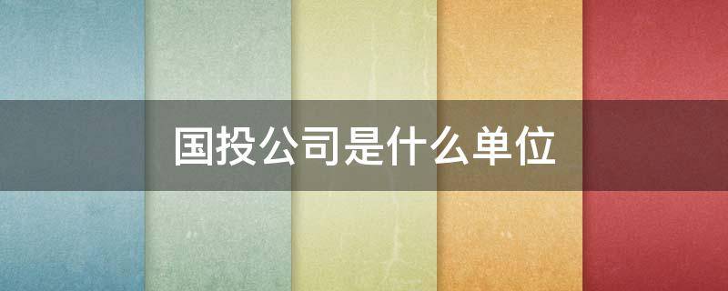 国投公司是什么单位 地方国投公司是什么单位