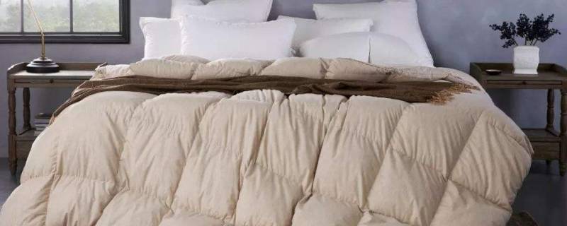 羽绒被可以用多少年（羽绒被可以用多少年换）