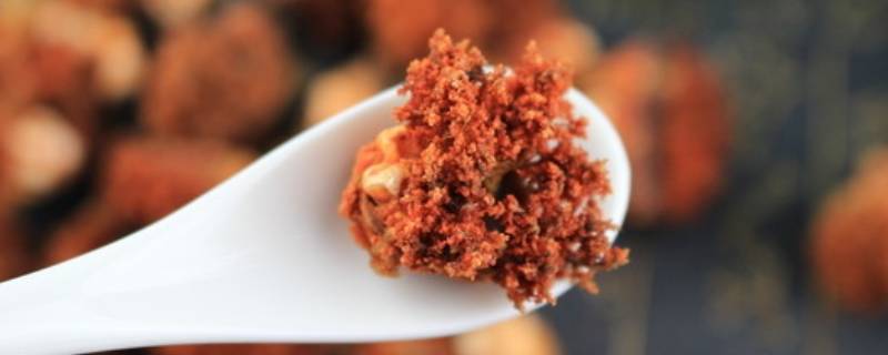 海参花是什么东西 海参花是什么东西,能吃吗图片