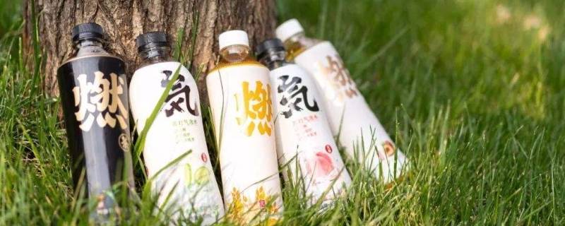 元气森林饮料是哪个公司的 元气森林饮料是哪个公司的品牌