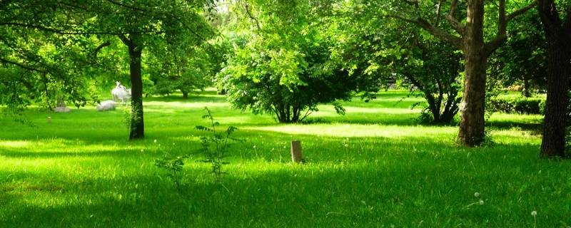 绿色都有哪些 绿色都有哪些颜色叫法图片