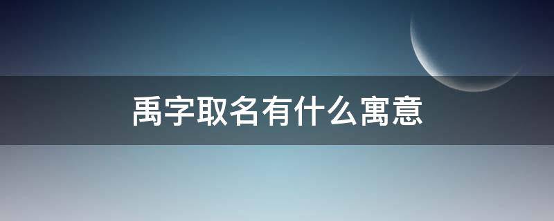 禹字取名有什么寓意（禹字取名有什么寓意吗）