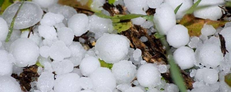 冰雹是哪个季节下的（冰雹是哪个季节下的?）