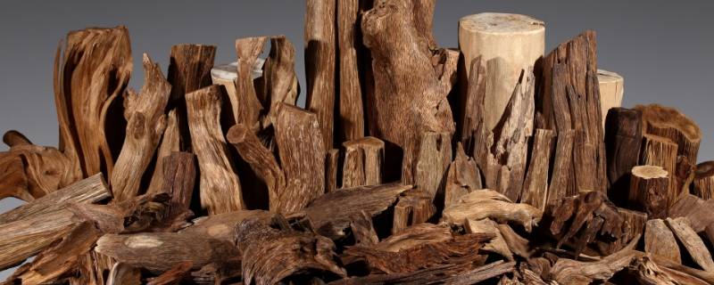 沉香由来（沉香来源于）