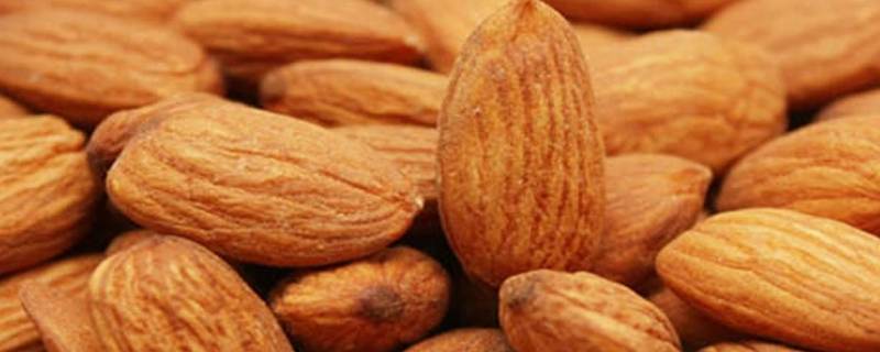 生杏仁怎么处理就可以吃了（生杏仁可以直接吃吗）