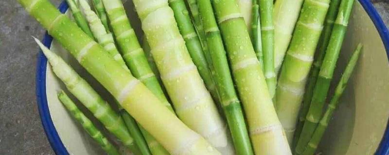 竹笋怎么挑选嫩的 竹笋怎样挑选