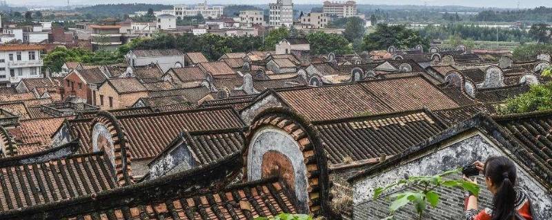 佛山特色（佛山特色美食有哪些）