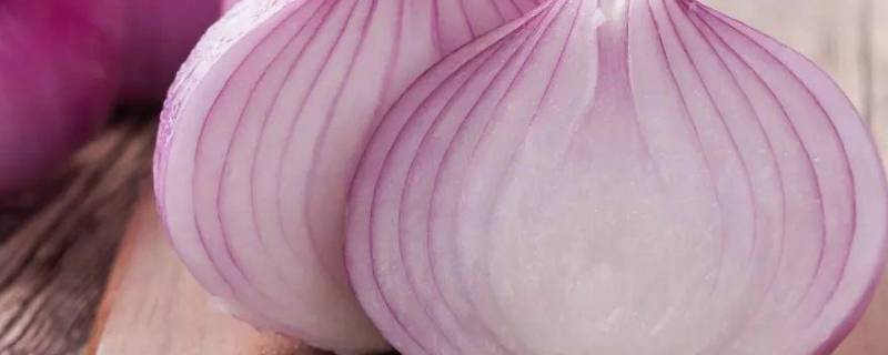 长芽的洋葱能不能吃了 长了芽的洋葱可不可以吃