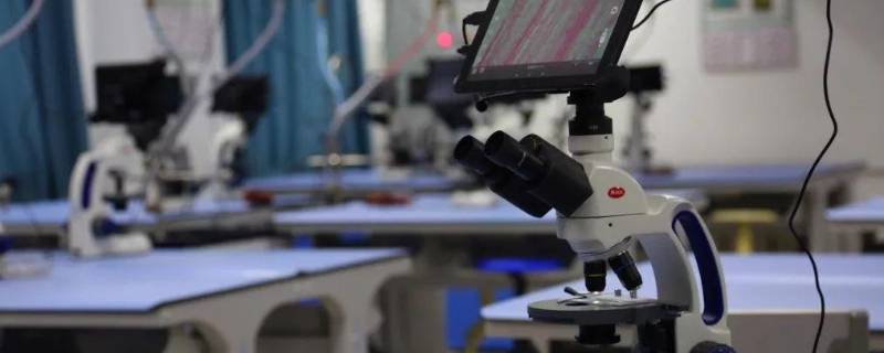 光学显微镜是什么东西 光学显微镜是什么东西?