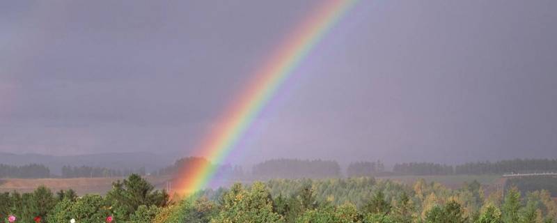 彩虹的七种颜色分别是什么（彩虹的七种颜色分别是什么英语）