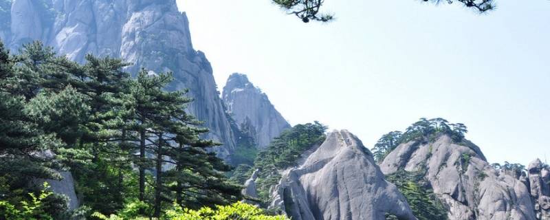 安徽籍贯 安徽籍贯怎么填写