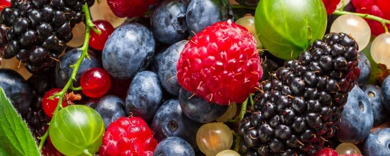 水果品种（水果品种大全名字图片）