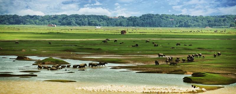 汨怎么读（汩怎么读）