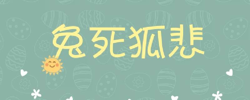 为什么兔子死了孤狸会感到伤心 兔子死了狐狸哭