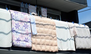 棉被有尿骚味怎么去除 棉被有尿骚味怎么去除掉