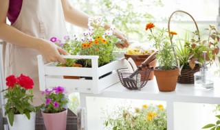 新买的盆怎样清洗干净（新买的盆怎样清洗干净呢）