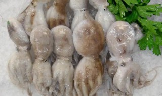 清洗干净的章鱼足是怎样的（章鱼足怎么洗才干净）