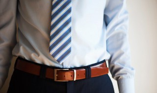 怎么养财布（怎么样财布施）