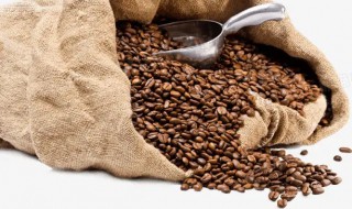 怎么养咖啡豆（怎么养咖啡豆好喝）