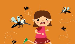 大蚊为什么叫蚊子杀手 蚊子致命杀手