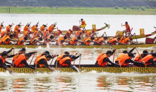 去年端午开什么马（去年过年开的什么马）