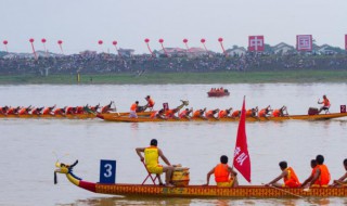 端午节会开什么生肖（端午节会开什么生肖合适）