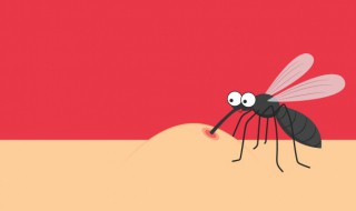 伊蚊按蚊库蚊的区别 伊蚊和库蚊的区别