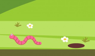 海蚯蚓的保存方法 海蚯蚓的保存方法视频