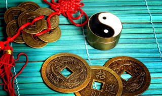 开车撞死猫有什么兆头（开车撞死猫有什么预兆）