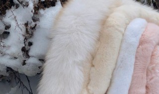 兔毛皮草熨烫里子可以吗 兔毛皮草可以用挂烫机熨烫吗