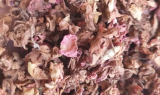 晒干的凤仙花干怎么染指甲 晒干的凤仙花怎么染头发