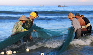 鱼的泥土味怎么去除（鱼有泥味怎么去除）
