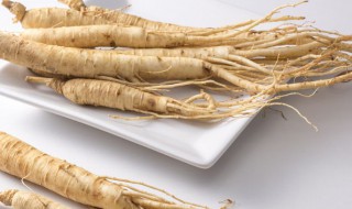 白人参怎么吃 白人参怎么吃效果最好