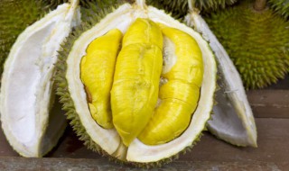 生的榴莲肉怎么吃 生的榴莲肉怎么吃煮着吃