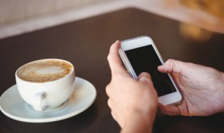 sf是啥意思 Sf是什么意思